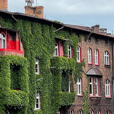 Nikisz Red Bdsm Kattowitz