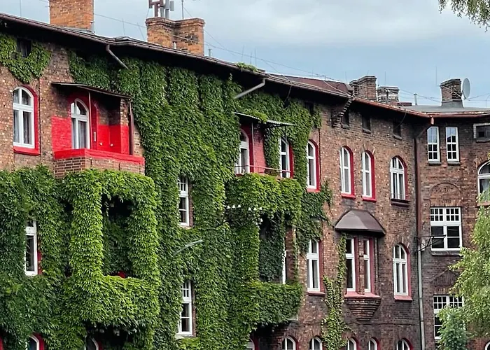 Nikisz Red Bdsm Katowice